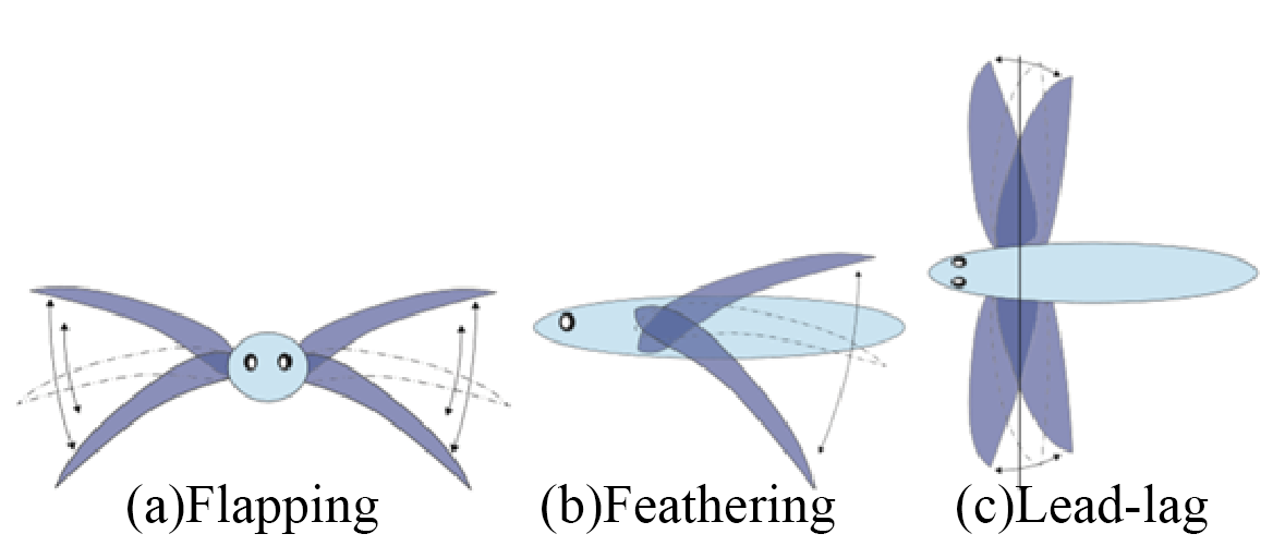 Flapping_Feathering_Lead-lag.png