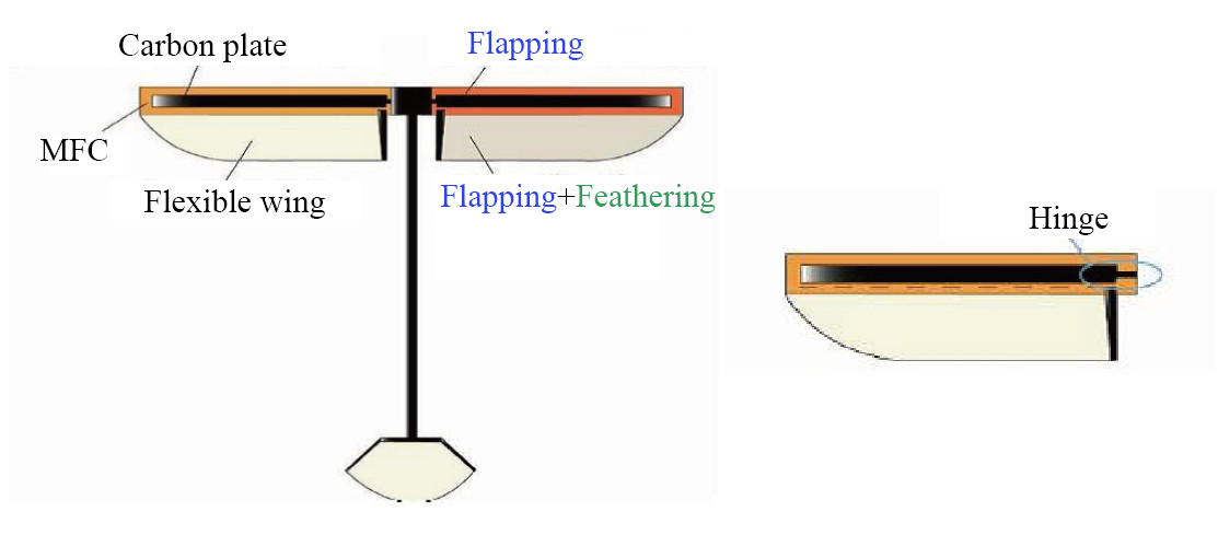 H-Flapping_model.png