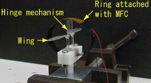Ring module.jpg