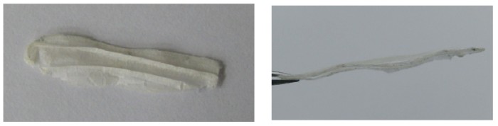 S-wing_model.jpg