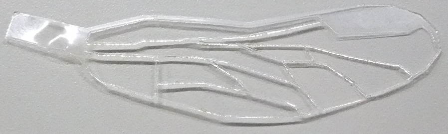 wing.jpg