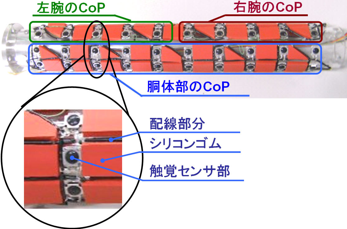 fig3.jpg