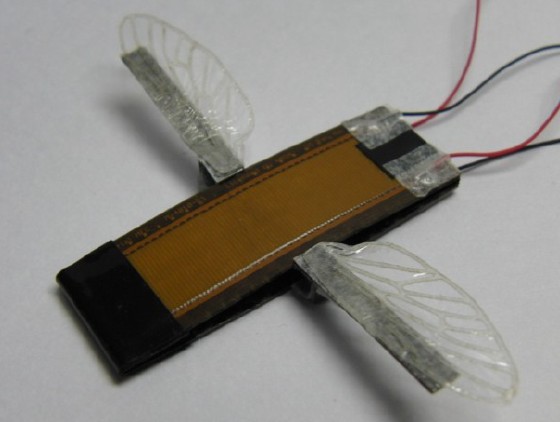 生物模倣型ソフト羽ばたきロボットの研究開発