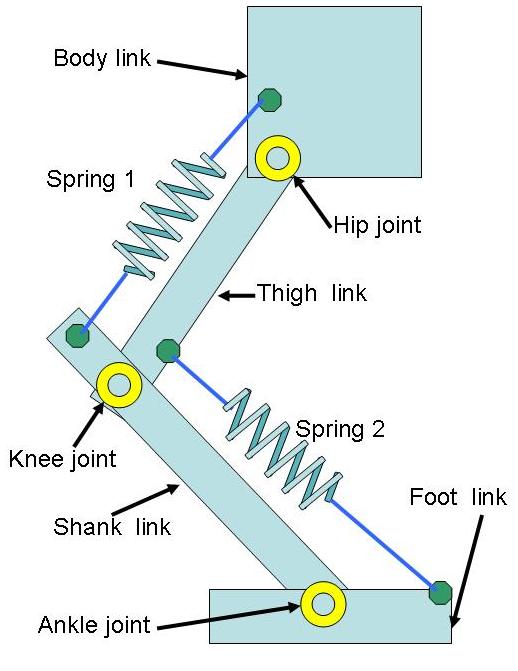 関節間のトルク相互利用可能な脚機構の開発1.jpg