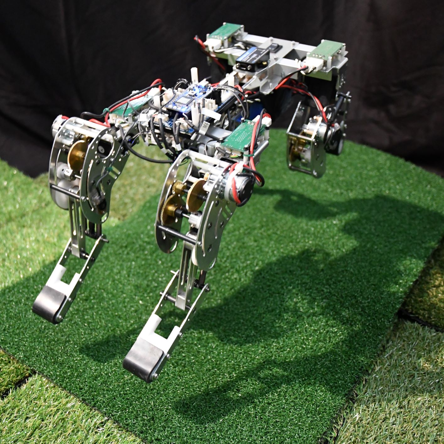 生物模倣4脚ロボットの研究開発