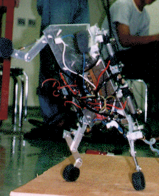 neko_j.gif (76724 $B%P%$%H(B)